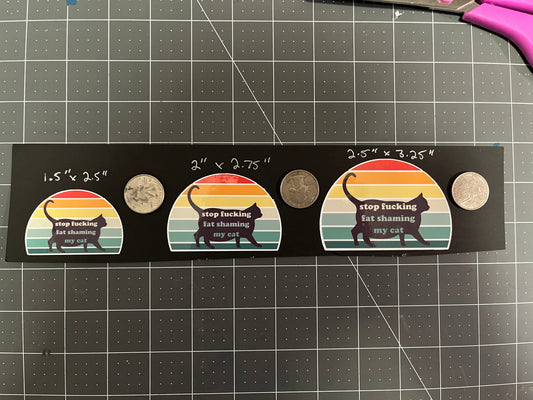 Stop F*cking Fat Shaming My Cat 2pcs Chonk Funny Stickers