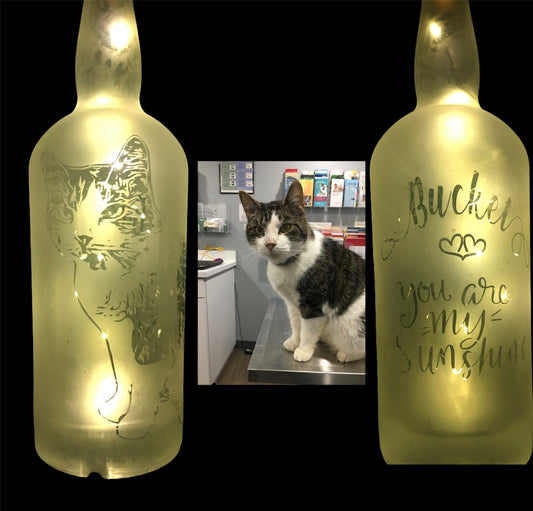 Your Pet(s) On A Custom Etched Frosted & Lighted Wine or Liquor Bottle Lamp! For Cats, Dogs, Horses, Hampsters, Birds, etc!