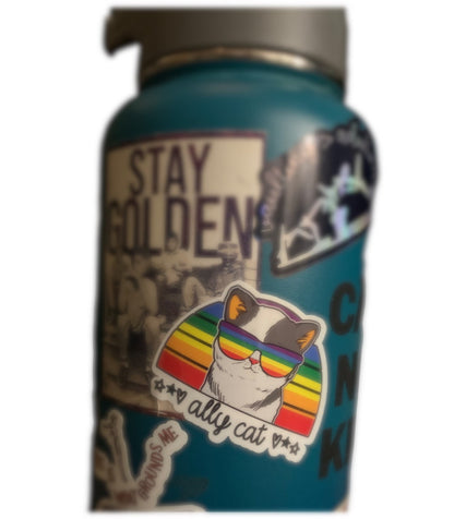Ally Cat Sticker (2) Straight Allies - LGBTQ Support, Pride, Love is Love, Non Binary
