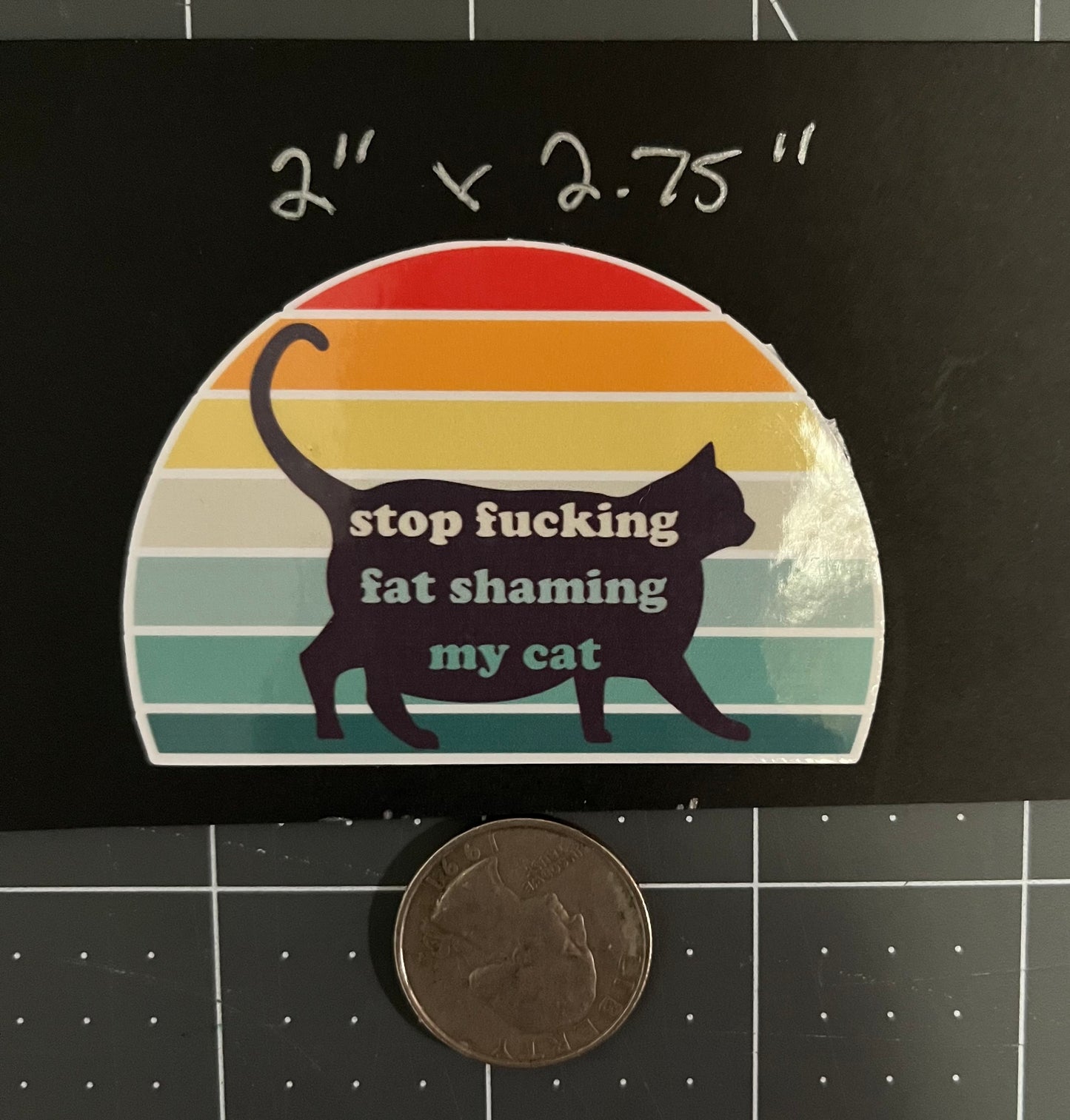 Stop F*cking Fat Shaming My Cat 2pcs Chonk Funny Stickers