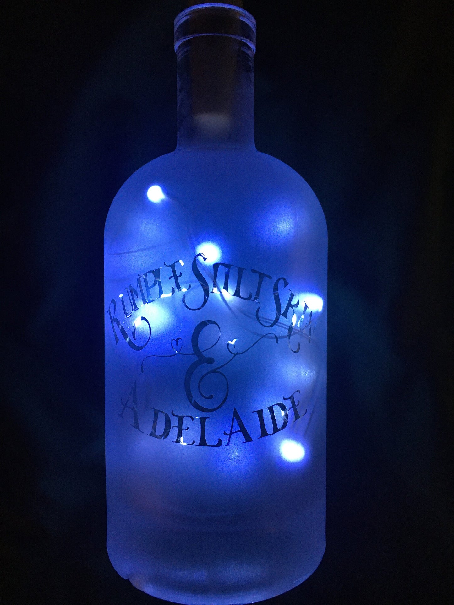 Your Pets on a Custom Lighted / Etched / Frosted Wine or Liquor Glass Bottle Lamp!