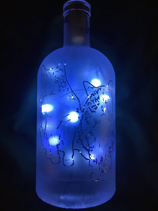 Your Pets on a Custom Lighted / Etched / Frosted Wine or Liquor Glass Bottle Lamp!