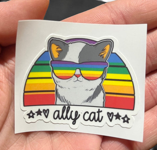 Ally Cat Sticker (2) Straight Allies - LGBTQ Support, Pride, Love is Love, Non Binary