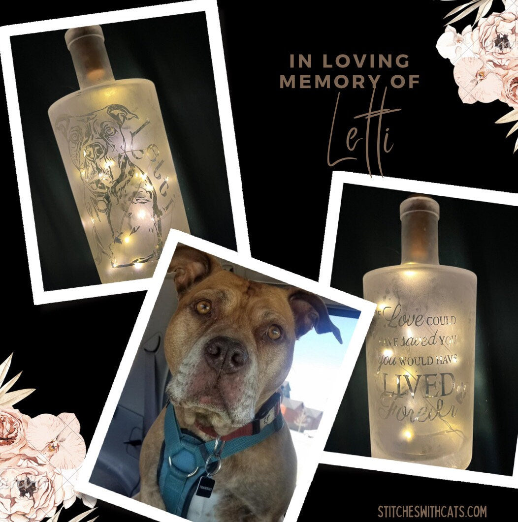 Custom Pet Memorial Etched/Frosted Lighted Glass Bottle Lamp - For Dogs, Cats, Hampsters, Horses, Birds....