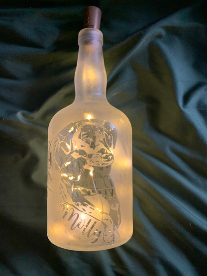 Custom Pet Memorial Etched/Frosted Lighted Glass Bottle Lamp - For Dogs, Cats, Hampsters, Horses, Birds....