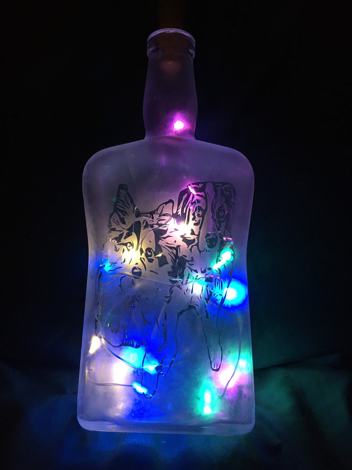 Your Pets on a Custom Lighted / Etched / Frosted Wine or Liquor Glass Bottle Lamp!