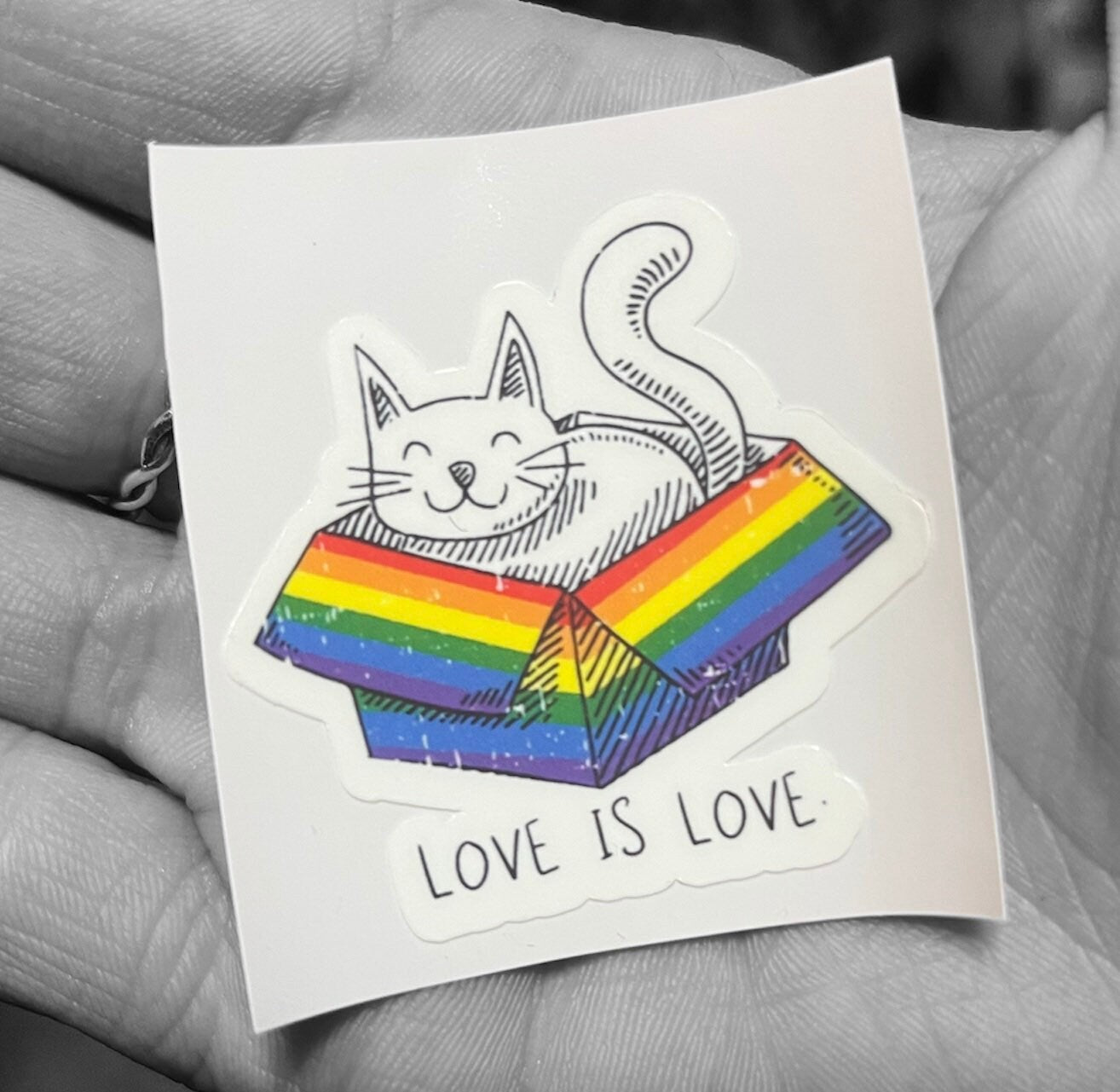 Love is Love - Kitty Cat in Box Rainbow Pride Stickers (2) - LGBTQ+