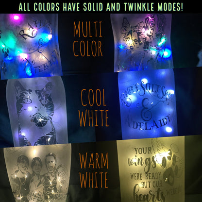 Your Pets on a Custom Lighted / Etched / Frosted Wine or Liquor Glass Bottle Lamp!