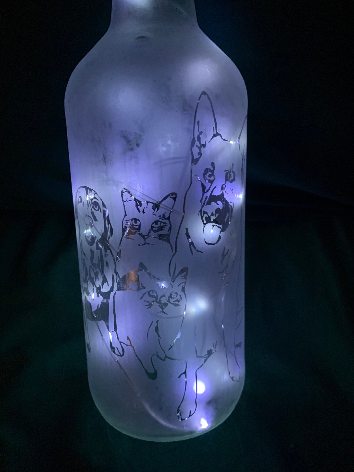 Your Pets on a Custom Lighted / Etched / Frosted Wine or Liquor Glass Bottle Lamp!