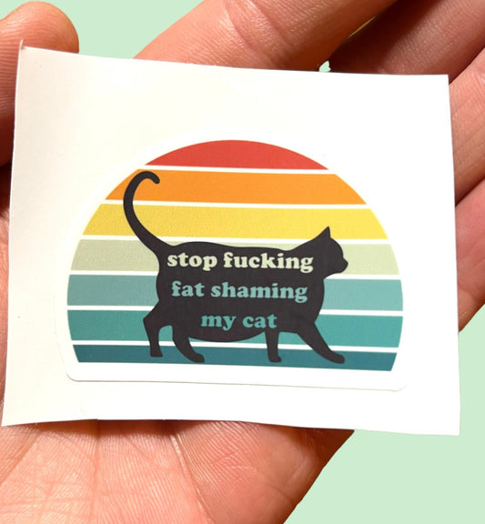 Stop F*cking Fat Shaming My Cat 2pcs Chonk Funny Stickers