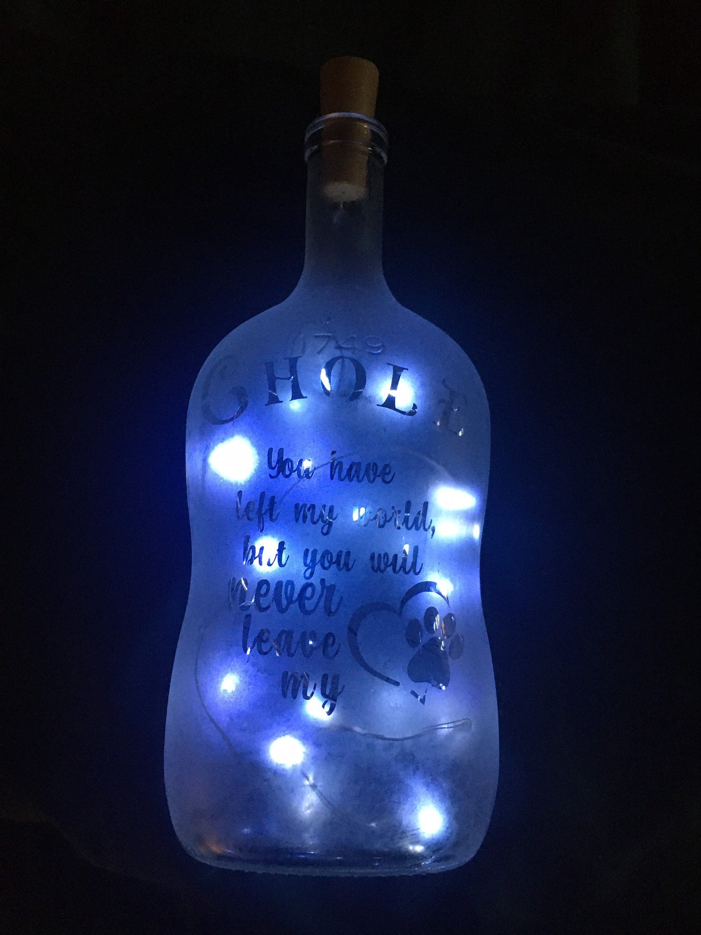 Custom Pet Memorial Etched/Frosted Lighted Glass Bottle Lamp - For Dogs, Cats, Hampsters, Horses, Birds....