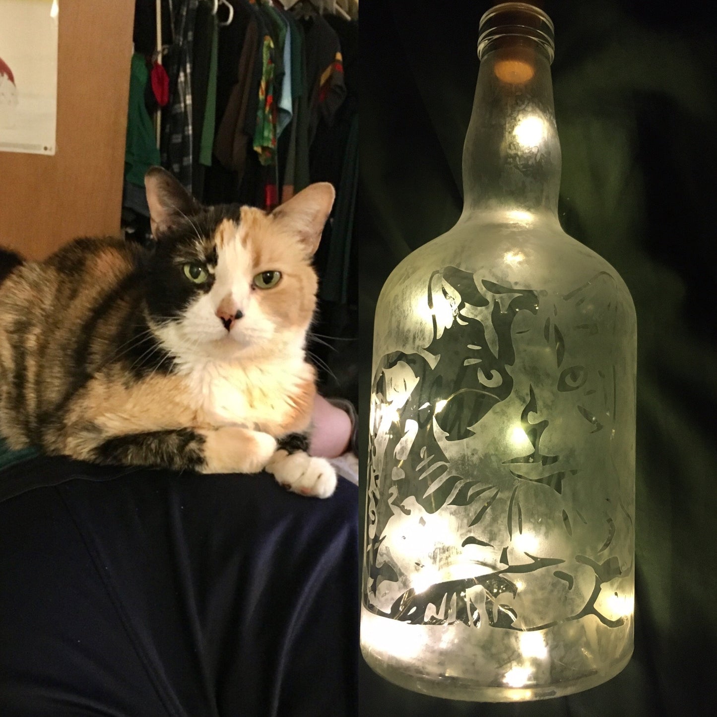 Your Pet(s) On A Custom Etched Frosted & Lighted Wine or Liquor Bottle Lamp! For Cats, Dogs, Horses, Hampsters, Birds, etc!