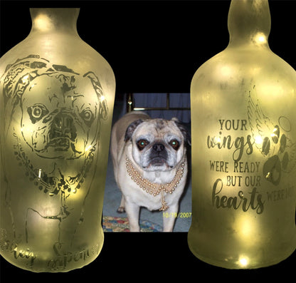 Your Pet(s) On A Custom Etched Frosted & Lighted Wine or Liquor Bottle Lamp! For Cats, Dogs, Horses, Hampsters, Birds, etc!