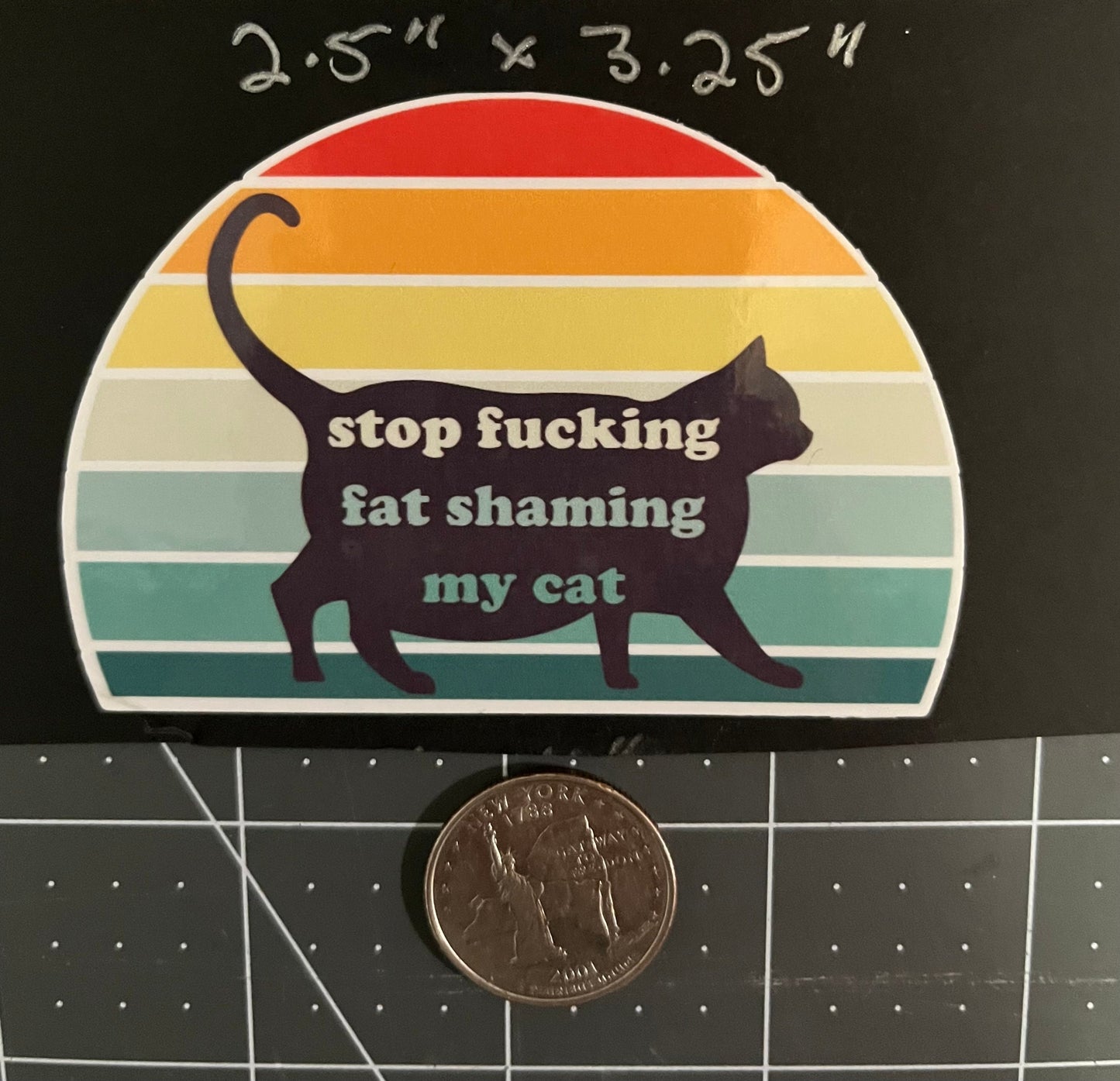 Stop F*cking Fat Shaming My Cat 2pcs Chonk Funny Stickers