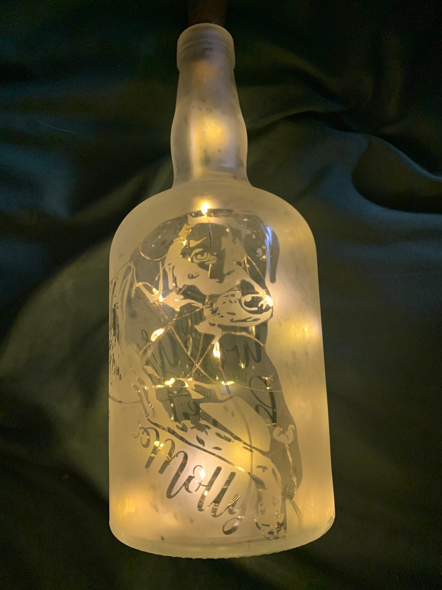 Your Pet(s) On A Custom Etched Frosted & Lighted Wine or Liquor Bottle Lamp! For Cats, Dogs, Horses, Hampsters, Birds, etc!