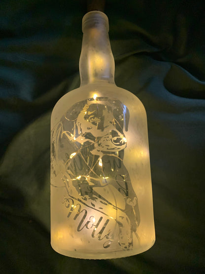 Your Pet(s) On A Custom Etched Frosted & Lighted Wine or Liquor Bottle Lamp! For Cats, Dogs, Horses, Hampsters, Birds, etc!