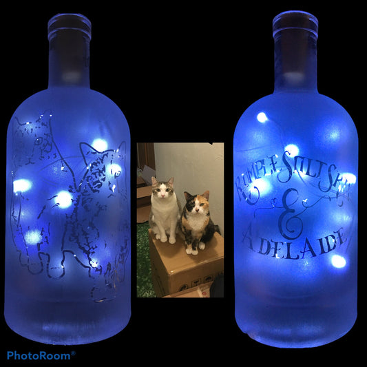 Your Pets on a Custom Lighted / Etched / Frosted Wine or Liquor Glass Bottle Lamp!