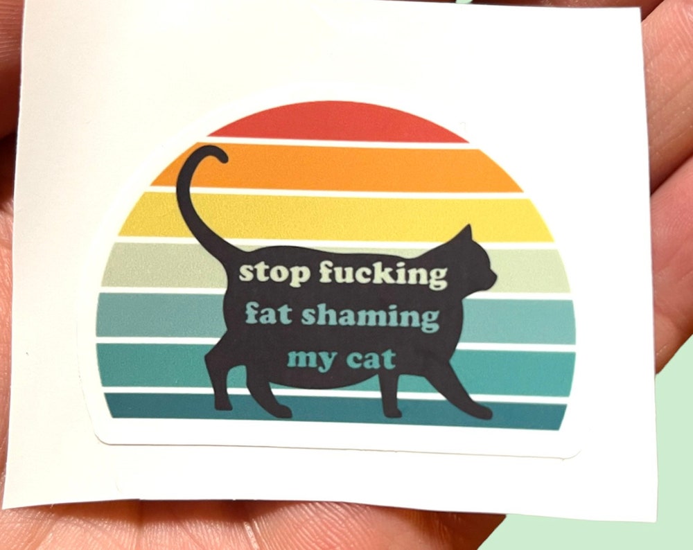 Stop F*cking Fat Shaming My Cat 2pcs Chonk Funny Stickers