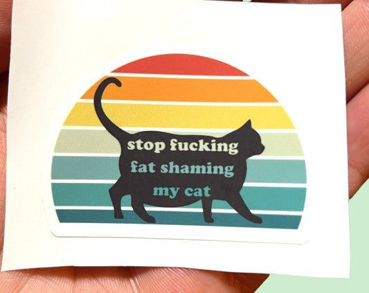 Stop F*cking Fat Shaming My Cat 2pcs Chonk Funny Stickers
